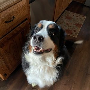 Meet your Posher, Regina